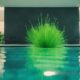 algae pool vacuum options