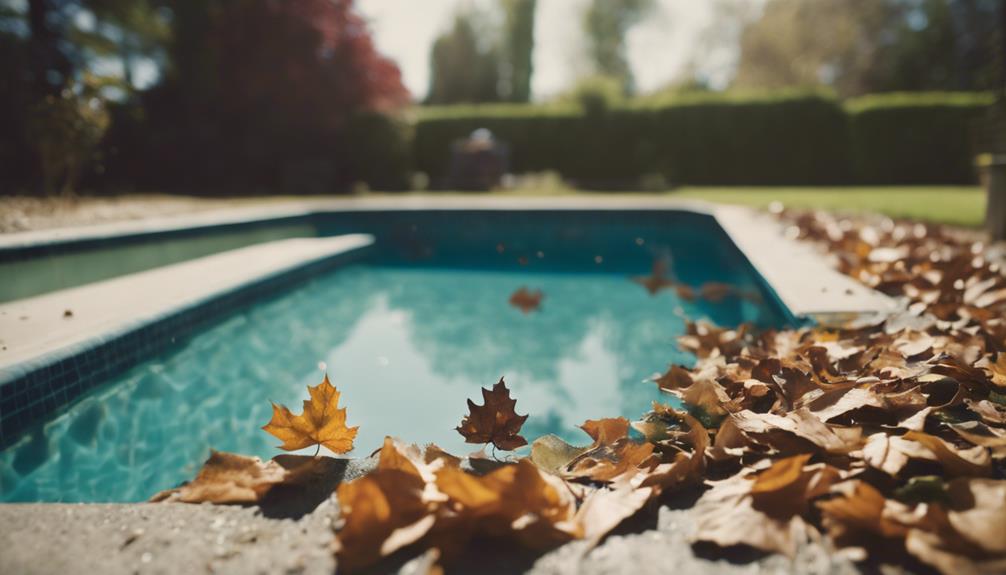 choosing hayward pool vacuum