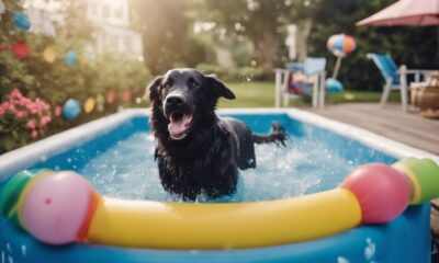 dog friendly swimming pool ideas