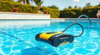 affordable pool cleaner options
