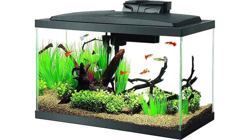 10 gallon led starter kit