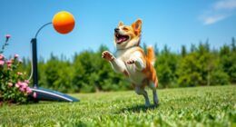 dog toy launchers review