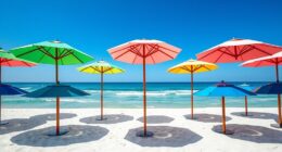 luxury stylish sun shades