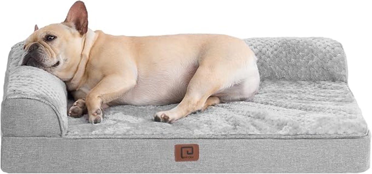 medium sized memory foam dog bed