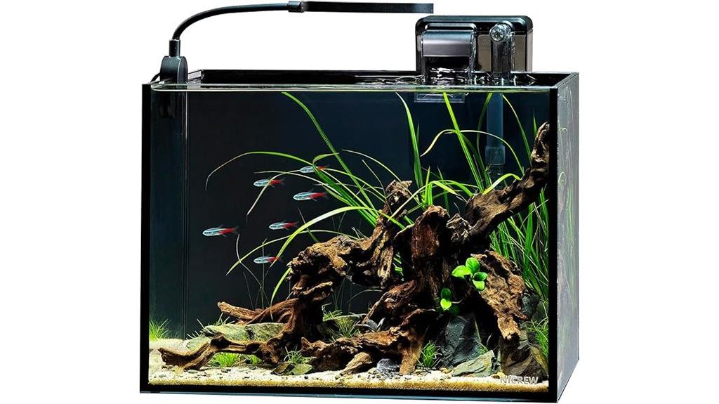 small aquarium with filter