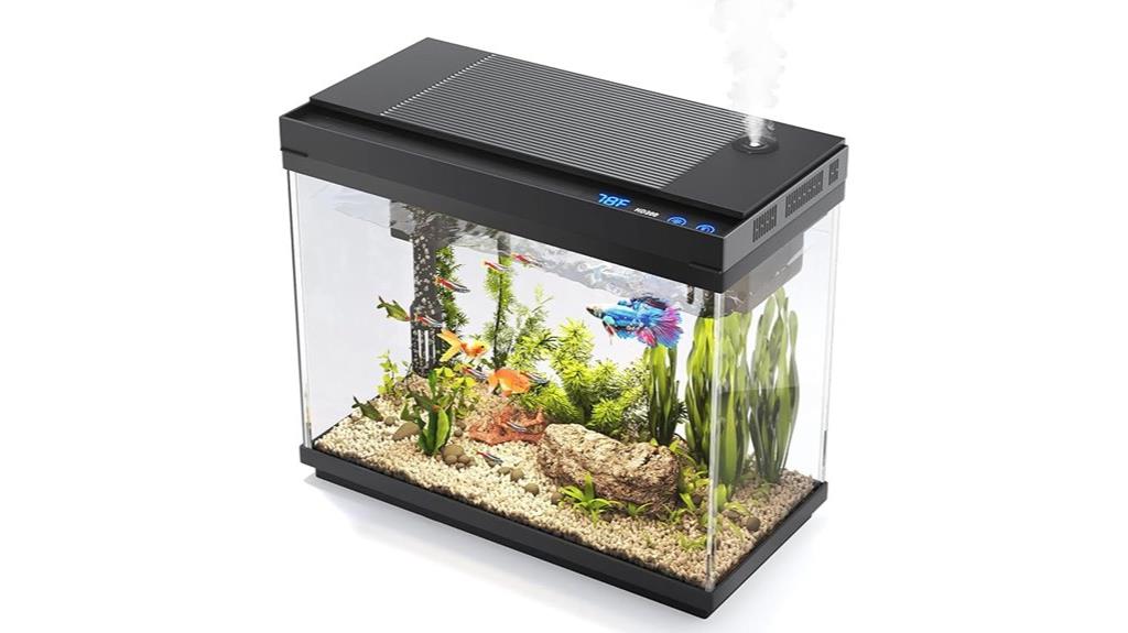 small aquarium with lighting