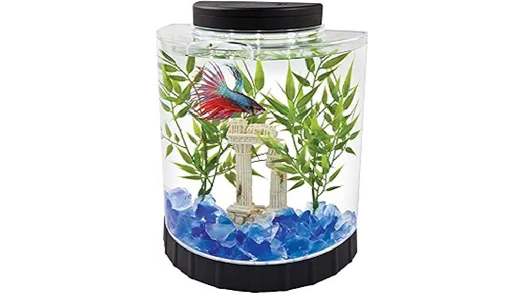 small gallon fish tank