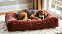 top orthopedic dog pillow options