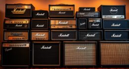 top premium guitar amp combos