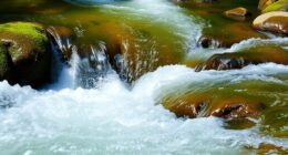 water flow and speed