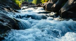 water flow rates speeds