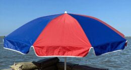 wind resistant umbrella design features