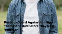 6 Pests to Guard Against in July – Nip Them in the Bud Before They Ruin Your Garden