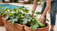 7 Fast-Growing Vegetables That Thrive On Neglect, Even If You Forget To Water – Sow Them In July For The Easiest Fall Harvest, Ever