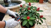 7 Surprisingly Flammable Plants You Should Keep Away From Fireworks
