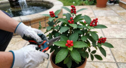 7 Surprisingly Flammable Plants You Should Keep Away From Fireworks