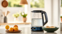 Cool Summer Sips with the Ninja KT200BL Precision Electric Kettle