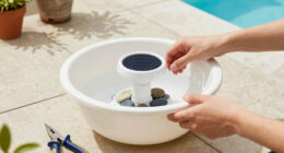 DIY A Water Bowl Planter With A Cheap Solar Fountain And Bring Cooling Sound And Color To Your Summer Garden