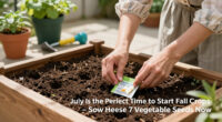 July Is the Perfect Time to Start Fall Crops – Sow These 7 Vegetable Seeds Now to Keep the Harvests Coming