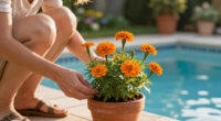 Marigolds Were Already The Ultimate Summer Flower – But It Turns Out They Have A Surprising Superpower
