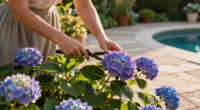 This Overlooked Hydrangea Cousin Is The Native Flowering Vine More Gardeners Should Be Growing