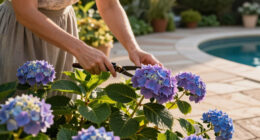 This Overlooked Hydrangea Cousin Is The Native Flowering Vine More Gardeners Should Be Growing