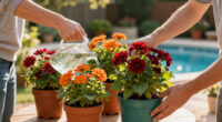 5 Fast-Growing Fall Flowers For Containers That Dazzle From The End Of Summer Until The First Frost