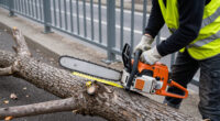 Großer Baum In Berlin-Gesundbrunnen Auf Brücke Gestürzt - Rbb24.de