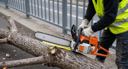 Großer Baum In Berlin-Gesundbrunnen Auf Brücke Gestürzt - Rbb24.de