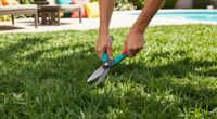 Here's How Often You Should Actually Mow Your Lawn In August – Cutting Too Much (Or Not Enough) Can Create Problems In Fall
