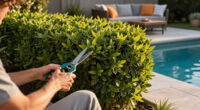 Move Over Boxwood! Kevin Bacon's Drought-Tolerant Privacy Scheme Is A Smarter Way To Screen Your Yard