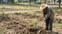 Retired Man Plants Trees On Forgotten Land, Now It's Sao Paulo's Largest Park