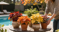 Fall Planter Ideas: Autumn Palettes And Plant Suggestions