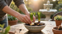 How To Plant Hyacinth Bulbs In September For Bowls Of Fragrant Christmas Flowers