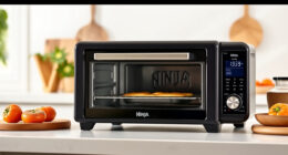 Master Summer Grilling with the Ninja Foodi XL Pro Air Oven