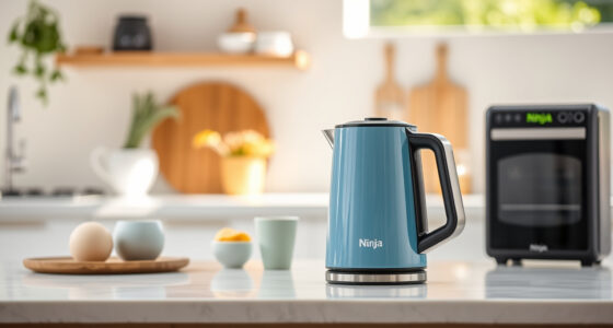 Maximize Summer Sips with the Ninja KT200BL Precision Temp Kettle
