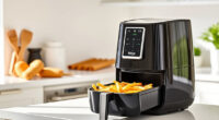 Summer Care Guide for Ninja Foodi 10-Quart DualZone Air Fryer