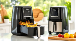 Summer Care Tips for Your Ninja Foodi 10 Quart Air Fryer