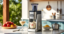 Summer Care & Troubleshooting for Ninja CREAMi Deluxe Ice Cream Maker