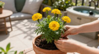 The Cheery Flower I’m Planting Now For Months Of Blooms To Ward Off Winter Blues