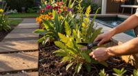 This Biodiverse Sydney Garden Began As Little More Than Bare Earth And Rock - Homes To Love