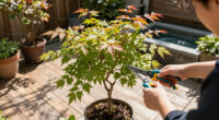 This Compact Japanese Maple Tree Just Went On Sale And It's A Year-Round Beauty In Every Backyard