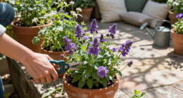 This Pretty Perennial Is The Perfect Swap For Dahlias – It Blooms Into Late Fall, And Pollinators Love It