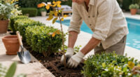 Want More Privacy Next Year? Plant These 6 Beautiful Hedges This Fall For Natural Screening From Prying Eyes