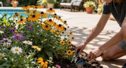 Want The Biggest Blooms Next Summer? Plant These 6 Perennials Before September Ends