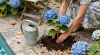 9 Gorgeous Hydrangeas To Plant This Fall For Blooms Next Summer