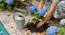 9 Gorgeous Hydrangeas To Plant This Fall For Blooms Next Summer