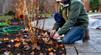 Don't Put Your Garden To Bed For Winter Until You've Done These 6 Things, Say Gardening Pros