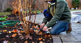 Don't Put Your Garden To Bed For Winter Until You've Done These 6 Things, Say Gardening Pros