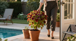 How To Save Your Coleus Before The First Frost